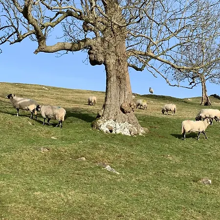 Westside Cottage, Newby Hamlet, Clapham, Yorkshire Dales National Park, Famous Three Peaks, Near The District, Pets Are Welcome, Direct Parking In Front Of The & Guest Parking Newby (Craven)