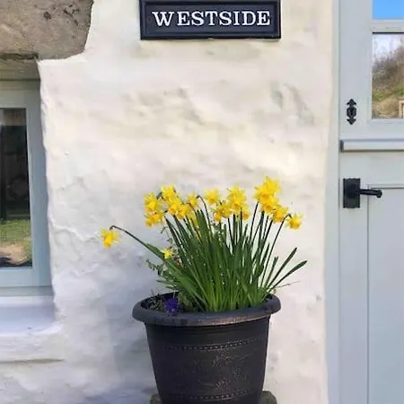 Westside Cottage: Yorkshire Dales Pet-friendly Retreat Holiday home