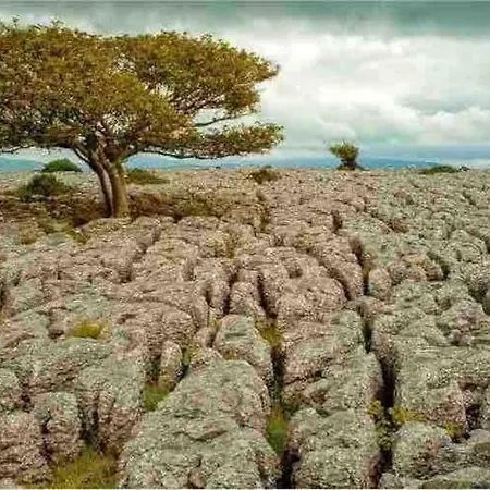 Westside Cottage, Newby Hamlet, Clapham, Yorkshire Dales National Park, Famous Three Peaks, Near The District, Pets Are Welcome, Direct Parking In Front Of The & Guest Parking Casa de Férias *