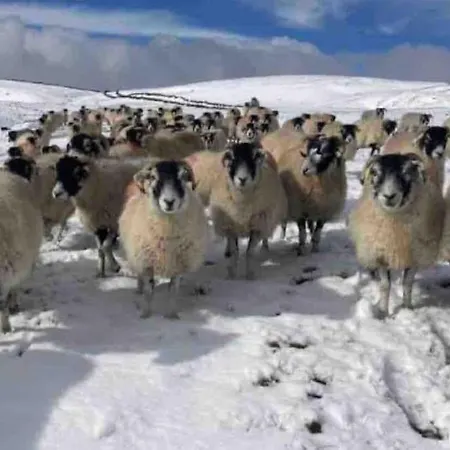 Hébergement de vacances Westside Cottage, Newby Hamlet, Clapham, Yorkshire Dales National Park, Famous Three Peaks, Near The District, Pets Are Welcome, Direct Parking In Front Of The & Guest Parking *