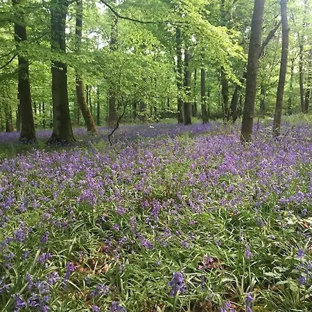 Westside Cottage, Newby Hamlet, Clapham, Yorkshire Dales National Park, Famous Three Peaks, Near The District, Pets Are Welcome, Direct Parking In Front Of The & Guest Parking *