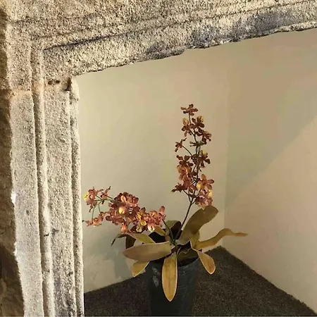 Westside Cottage, Newby Hamlet, Clapham, Yorkshire Dales National Park, Famous Three Peaks, Near The District, Pets Are Welcome, Direct Parking In Front Of The & Guest Parking